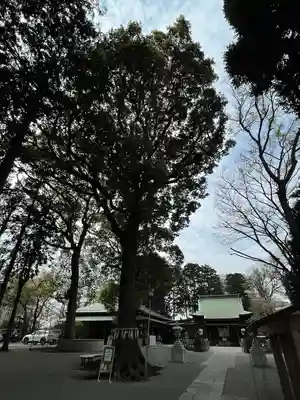 星川杉山神社のその他建物