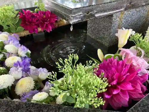 新琴似神社の手水