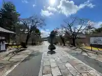 仁和寺の{uncategorized: "未分類", other: "その他", undefined: "問題あり", building: "その他建物", grave: "お墓", sacred_gate: "鳥居", guardian: "狛犬", statue: "像", buddha: "仏像", history: "歴史", nature: "自然", garden: "庭園", animal: "動物", pagoda: "塔", temizu: "手水舎", mountain_gate: "山門・神門", sanctuary: "本殿・本堂", subordinate: "末社・摂社", art: "芸術", scenery: "景色", jizo: "地蔵", ema: "絵馬", goshuin: "御朱印", omikuji: "おみくじ", items: "授与品その他", amulet: "お守り", goshuincho: "御朱印帳", eats: "食事", festival: "お祭り", votive_dance: "神楽", shichigosan: "七五三参", wedding: "結婚式", experience: "体験その他", initially: "初詣", around: "周辺", anti_infection: "感染症対策"}