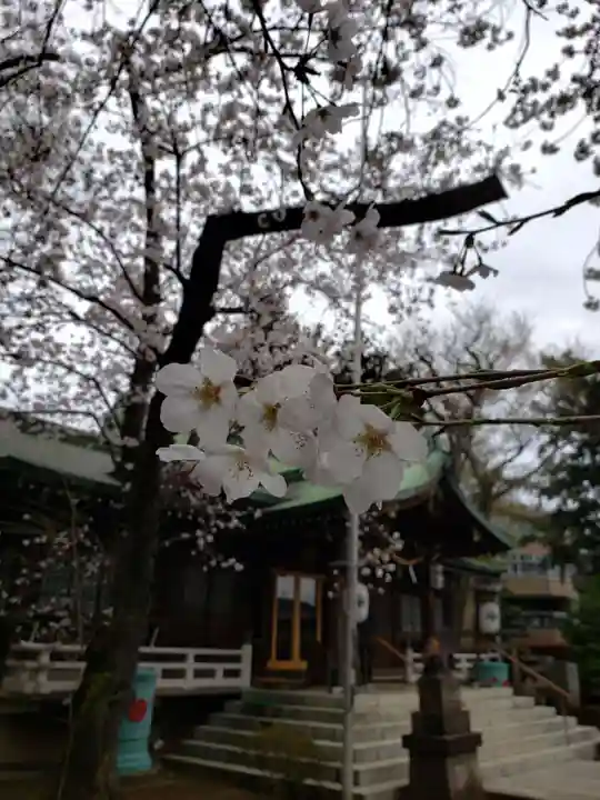 多田神社の自然