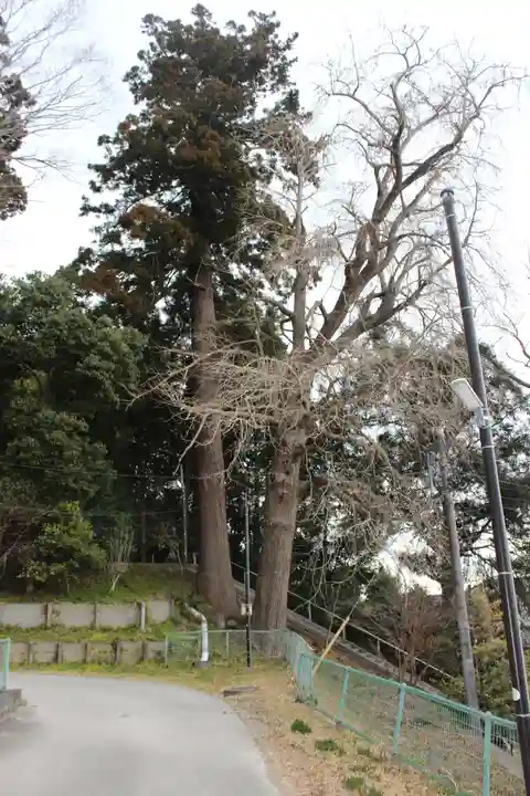 田間神社(千葉県)