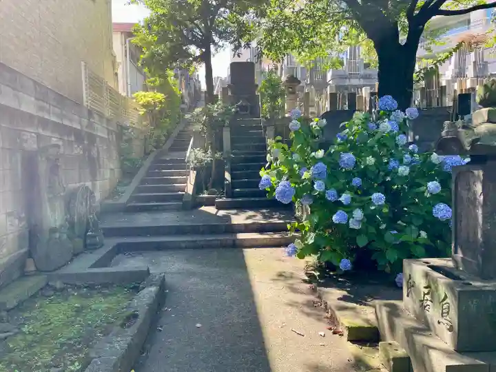 陽寿院(東京都)