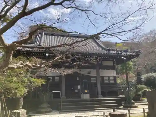安國論寺（安国論寺）の本殿・本堂
