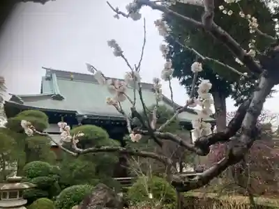 東覺院(東京都)