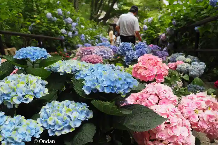 長谷寺(奈良県)