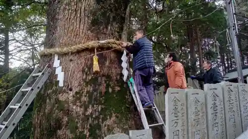 白山神社の自然
