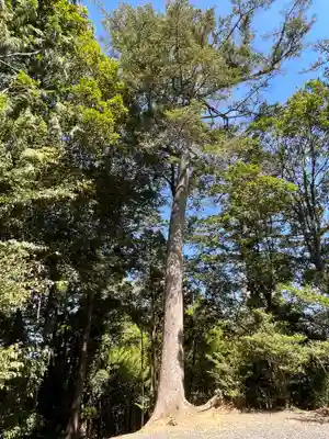 日鷲神社(福島県)