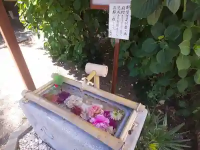 猿田彦神社の手水舎
