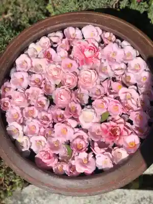 霊鑑寺門跡の手水舎