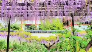 奈加美神社(大阪府)(2025年04月13日(日) 22時03分13秒投稿)