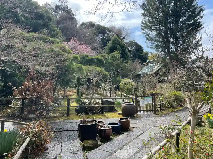 妙法寺の{uncategorized: "未分類", other: "その他", undefined: "問題あり", building: "その他建物", grave: "お墓", sacred_gate: "鳥居", guardian: "狛犬", statue: "像", buddha: "仏像", history: "歴史", nature: "自然", garden: "庭園", animal: "動物", pagoda: "塔", temizu: "手水舎", mountain_gate: "山門・神門", sanctuary: "本殿・本堂", subordinate: "末社・摂社", art: "芸術", scenery: "景色", jizo: "地蔵", ema: "絵馬", goshuin: "御朱印", omikuji: "おみくじ", items: "授与品その他", amulet: "お守り", goshuincho: "御朱印帳", eats: "食事", festival: "お祭り", votive_dance: "神楽", shichigosan: "七五三参", wedding: "結婚式", experience: "体験その他", initially: "初詣", around: "周辺", anti_infection: "感染症対策"}