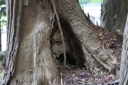 箟峯寺(宮城県)