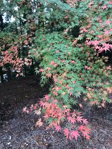 神魂神社の自然