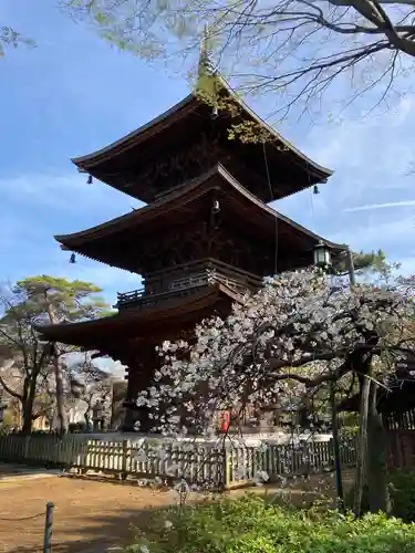 豪徳寺の塔