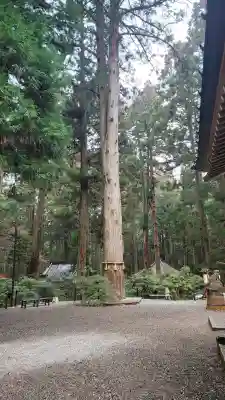 御岩神社の{uncategorized: "未分類", other: "その他", undefined: "問題あり", building: "その他建物", grave: "お墓", sacred_gate: "鳥居", guardian: "狛犬", statue: "像", buddha: "仏像", history: "歴史", nature: "自然", garden: "庭園", animal: "動物", pagoda: "塔", temizu: "手水舎", mountain_gate: "山門・神門", sanctuary: "本殿・本堂", subordinate: "末社・摂社", art: "芸術", scenery: "景色", jizo: "地蔵", ema: "絵馬", goshuin: "御朱印", omikuji: "おみくじ", items: "授与品その他", amulet: "お守り", goshuincho: "御朱印帳", eats: "食事", festival: "お祭り", votive_dance: "神楽", shichigosan: "七五三参", wedding: "結婚式", experience: "体験その他", initially: "初詣", around: "周辺", anti_infection: "感染症対策"}