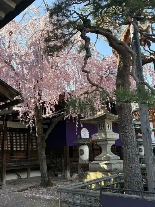 善光寺大本願の{uncategorized: "未分類", other: "その他", undefined: "問題あり", building: "その他建物", grave: "お墓", sacred_gate: "鳥居", guardian: "狛犬", statue: "像", buddha: "仏像", history: "歴史", nature: "自然", garden: "庭園", animal: "動物", pagoda: "塔", temizu: "手水舎", mountain_gate: "山門・神門", sanctuary: "本殿・本堂", subordinate: "末社・摂社", art: "芸術", scenery: "景色", jizo: "地蔵", ema: "絵馬", goshuin: "御朱印", omikuji: "おみくじ", items: "授与品その他", amulet: "お守り", goshuincho: "御朱印帳", eats: "食事", festival: "お祭り", votive_dance: "神楽", shichigosan: "七五三参", wedding: "結婚式", experience: "体験その他", initially: "初詣", around: "周辺", anti_infection: "感染症対策"}