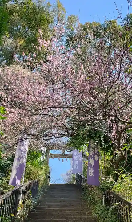 牛天神北野神社(東京都)