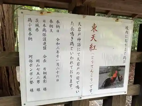 天岩戸神社(宮崎県)