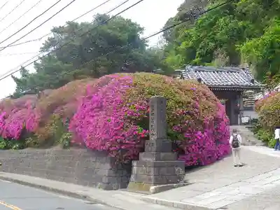 安養院　(田代寺）の周辺
