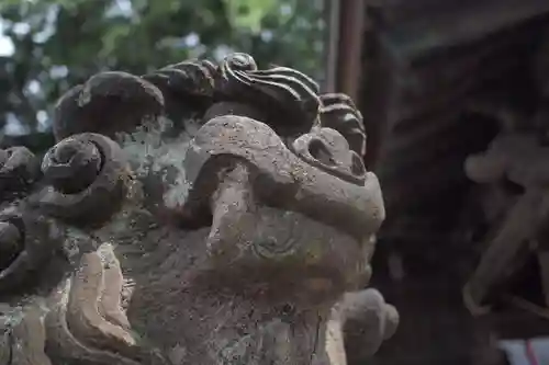 阿邪訶根神社の狛犬