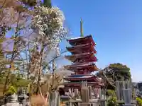 本土寺(千葉県)