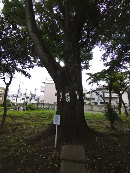 観音寺(世田谷山観音寺)(東京都)