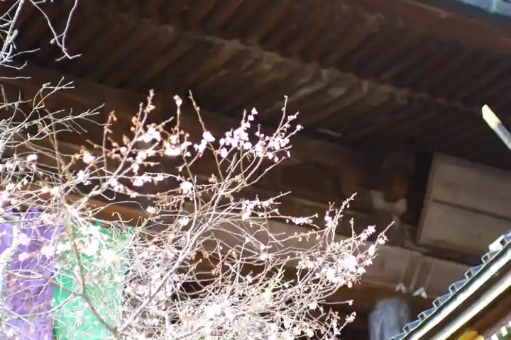 長谷寺(奈良県)