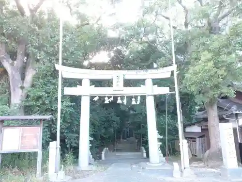 一宮神社の鳥居