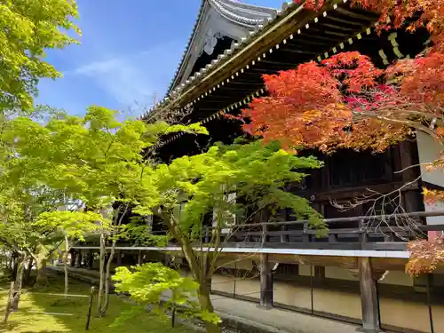 光明寺（粟生光明寺）(京都府)
