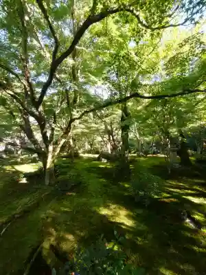 圓光寺の{uncategorized: "未分類", other: "その他", undefined: "問題あり", building: "その他建物", grave: "お墓", sacred_gate: "鳥居", guardian: "狛犬", statue: "像", buddha: "仏像", history: "歴史", nature: "自然", garden: "庭園", animal: "動物", pagoda: "塔", temizu: "手水舎", mountain_gate: "山門・神門", sanctuary: "本殿・本堂", subordinate: "末社・摂社", art: "芸術", scenery: "景色", jizo: "地蔵", ema: "絵馬", goshuin: "御朱印", omikuji: "おみくじ", items: "授与品その他", amulet: "お守り", goshuincho: "御朱印帳", eats: "食事", festival: "お祭り", votive_dance: "神楽", shichigosan: "七五三参", wedding: "結婚式", experience: "体験その他", initially: "初詣", around: "周辺", anti_infection: "感染症対策"}