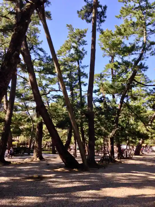 出雲大社(島根県)