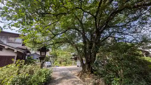 本長寺(滋賀県)