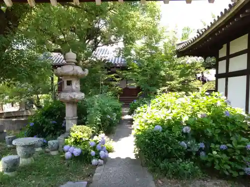 大寶寺（大宝寺）(大阪府)