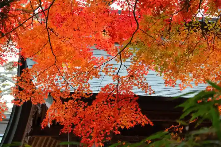 三春大神宮の景色