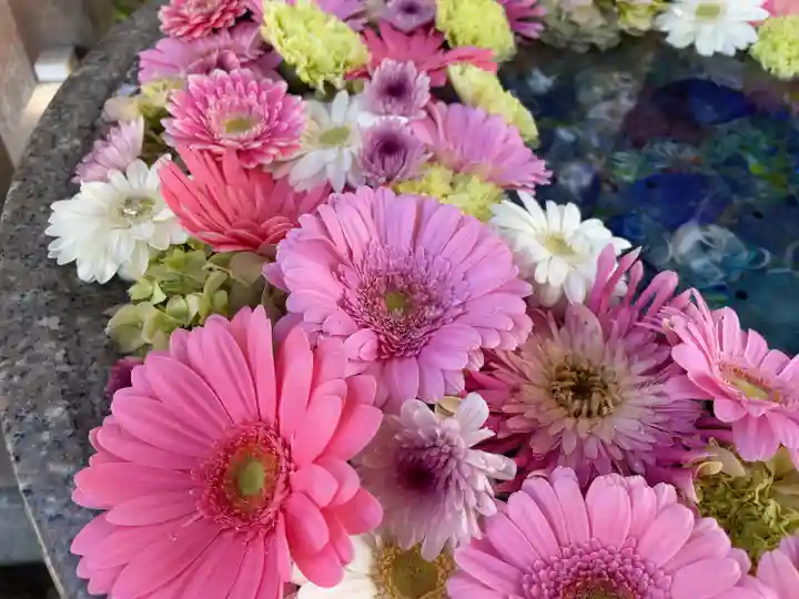 白山神社(新潟県)