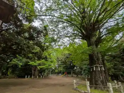 赤坂氷川神社(東京都)