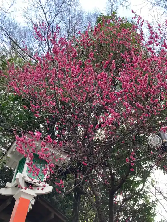 田無神社の自然
