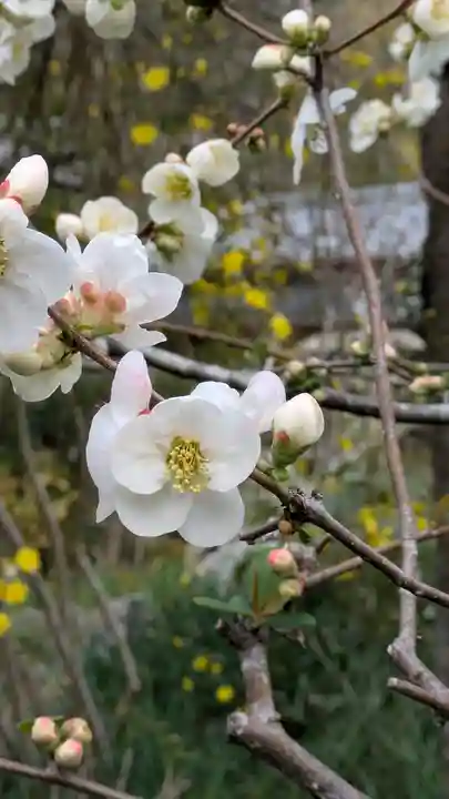 惠心院(京都府)