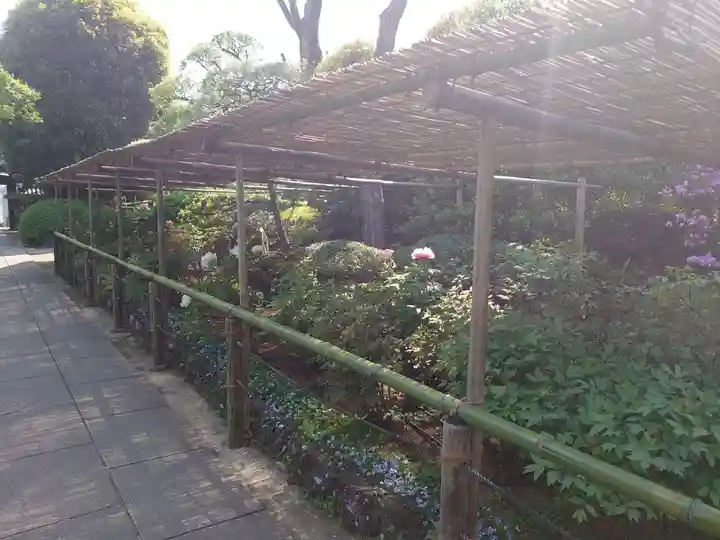 東長谷寺 薬王院の庭園