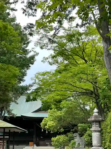 浜松八幡宮の{uncategorized: "未分類", other: "その他", undefined: "問題あり", building: "その他建物", grave: "お墓", sacred_gate: "鳥居", guardian: "狛犬", statue: "像", buddha: "仏像", history: "歴史", nature: "自然", garden: "庭園", animal: "動物", pagoda: "塔", temizu: "手水舎", mountain_gate: "山門・神門", sanctuary: "本殿・本堂", subordinate: "末社・摂社", art: "芸術", scenery: "景色", jizo: "地蔵", ema: "絵馬", goshuin: "御朱印", omikuji: "おみくじ", items: "授与品その他", amulet: "お守り", goshuincho: "御朱印帳", eats: "食事", festival: "お祭り", votive_dance: "神楽", shichigosan: "七五三参", wedding: "結婚式", experience: "体験その他", initially: "初詣", around: "周辺", anti_infection: "感染症対策"}