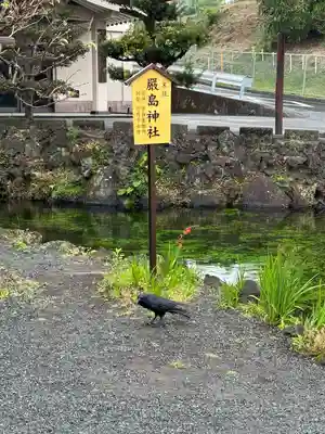 富士山本宮浅間大社(静岡県)