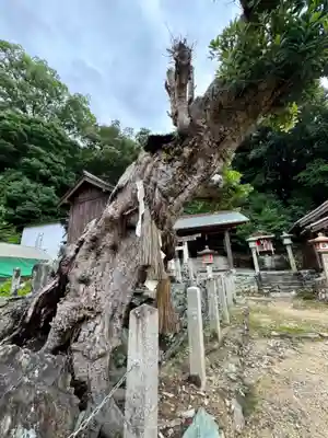 和歌浦天満宮(和歌山県)