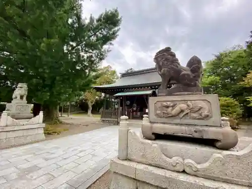 小浜神社の狛犬