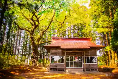 舘神社(宮城県)