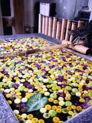 高円寺氷川神社(東京都)