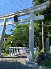 山宮浅間神社の鳥居