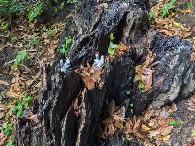 祐徳稲荷神社(長崎県)