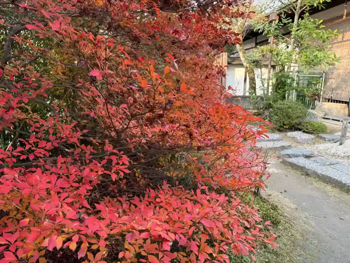 金福寺(京都府)