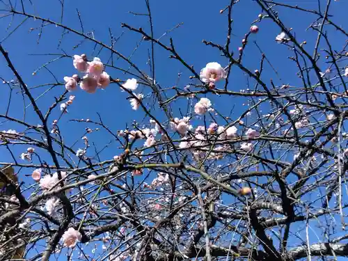 濱名惣社神明宮(静岡県)