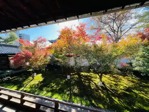 興聖寺(京都府)